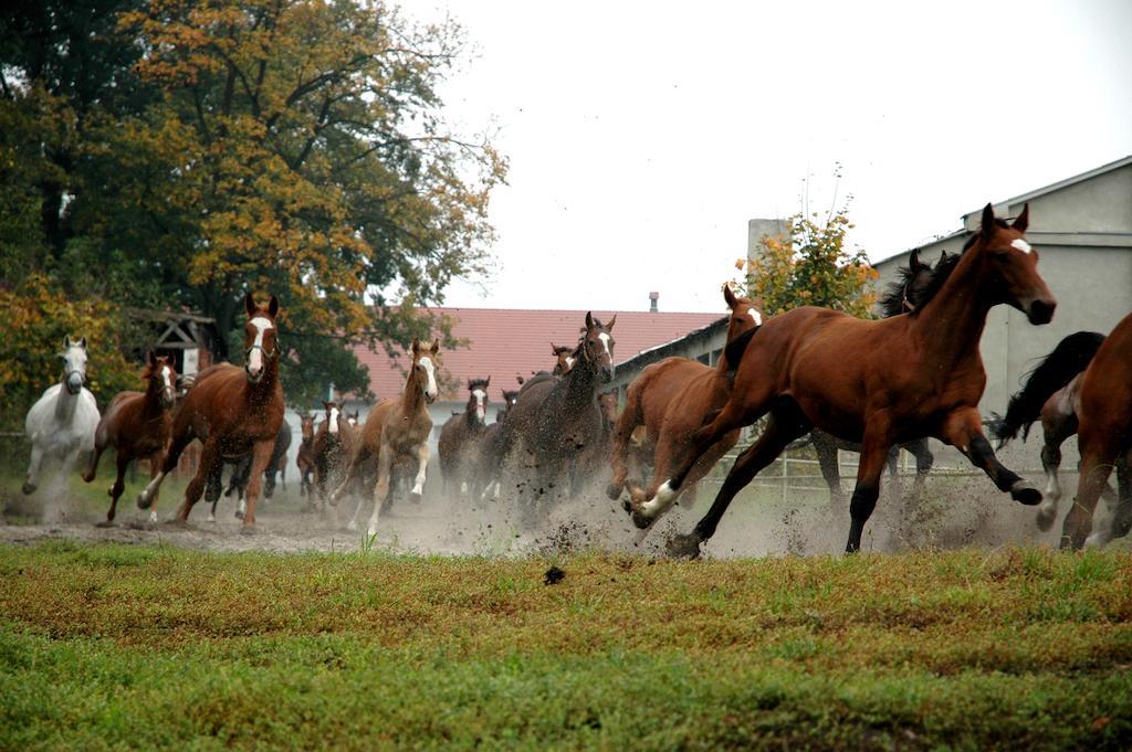 Palac Racot Kościan Kültér fotó